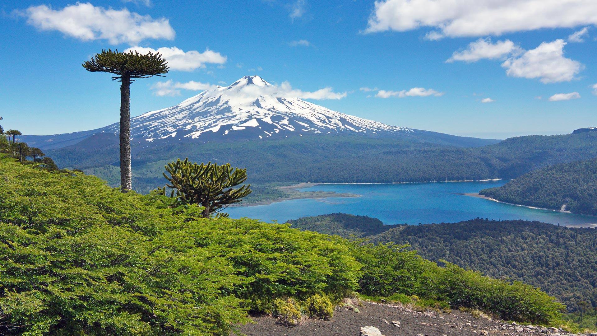 Paisaje del Parque Conguillío en el sur de Chile