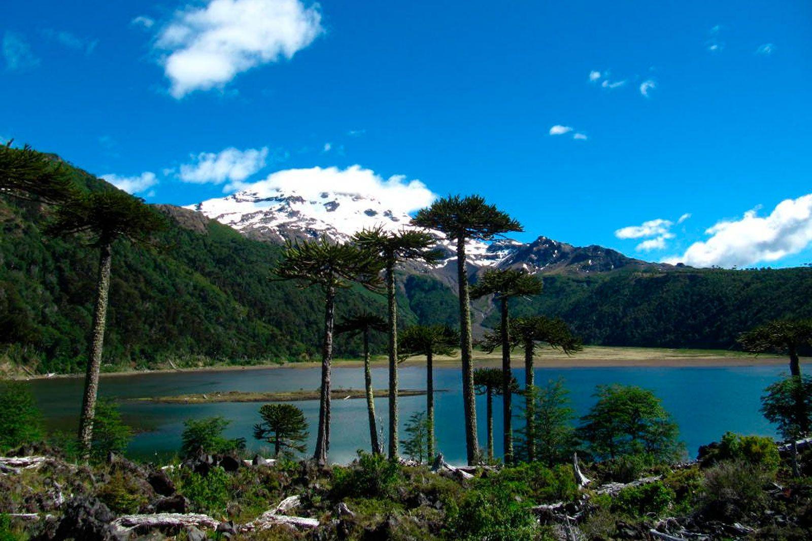 Vista panorámica de Laguna Blanca